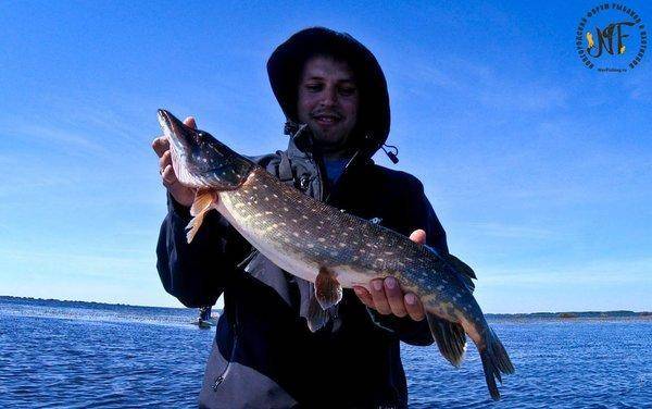 рыба 2018 (406 of 1).jpg