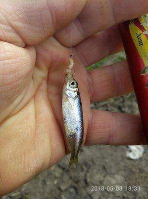 VK_Saved_Photo_ 636609600852533671.jpg