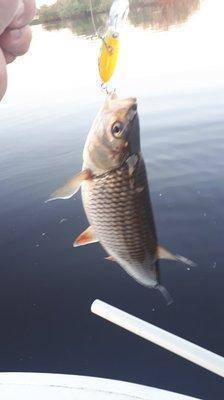 2018-05-29 21.25.16.jpg