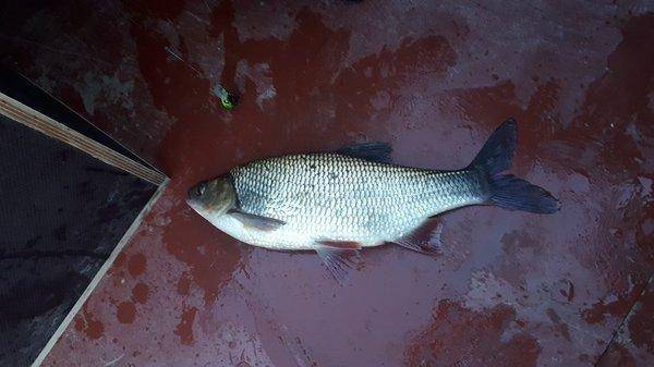 2018-05-29 21.00.06.jpg