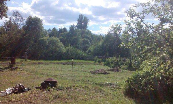 IMG_20160607_160625 - копия.jpg