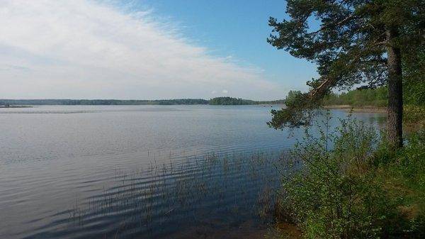 Открытие щучьего сезона 16 мая 2018 013.jpg