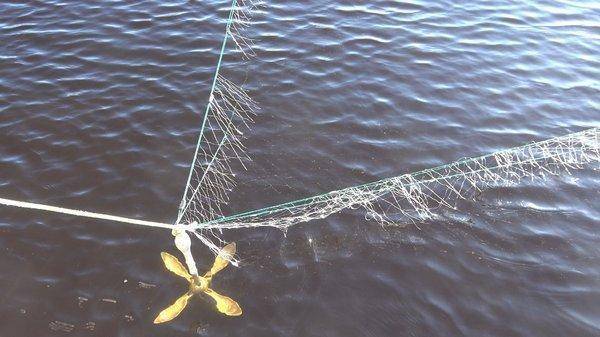 C0151.MP4_snapshot_00_03.thumb.jpg.66595