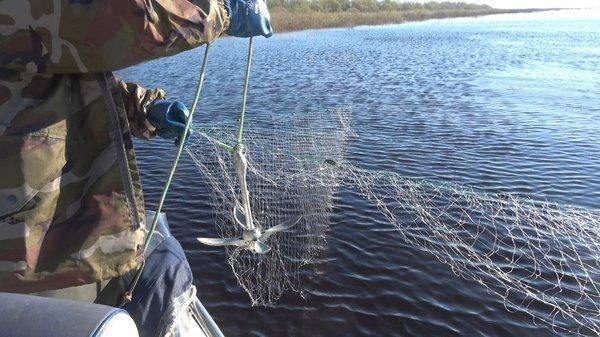 C0152.MP4_snapshot_00_09.thumb.jpg.e5a6b