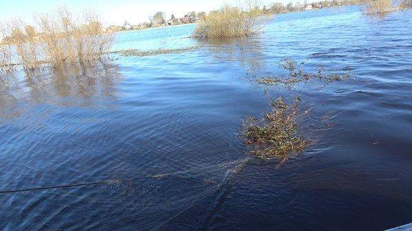 C0165.MP4_snapshot_00_14.thumb.jpg.3048f