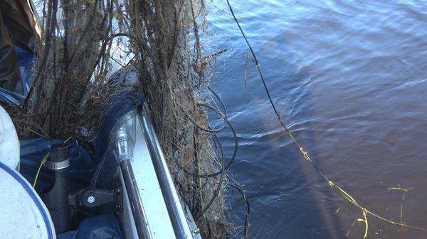 C0166.MP4_snapshot_00_04.thumb.jpg.4d947