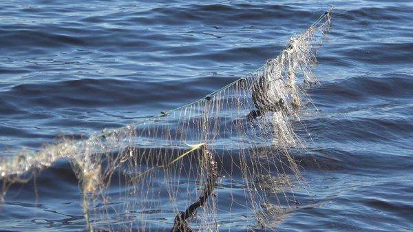 C0174.MP4_snapshot_00_07.thumb.jpg.75292