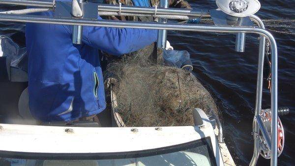 C0178.MP4_snapshot_00_04.thumb.jpg.75343