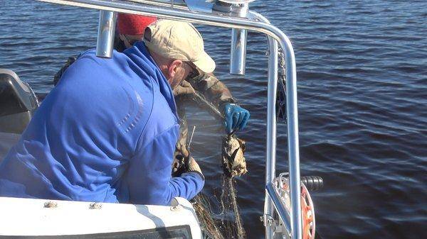 C0180.MP4_snapshot_00_08.thumb.jpg.5756b