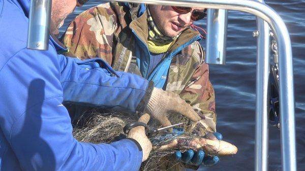 C0181.MP4_snapshot_00_57.thumb.jpg.cb3cf