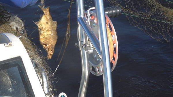 C0183.MP4_snapshot_00_07.thumb.jpg.5f71a