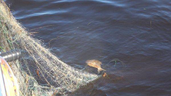 C0184.MP4_snapshot_00_11.thumb.jpg.59708