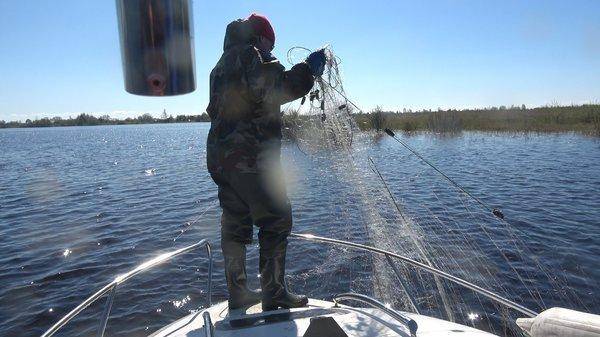 C0187.MP4_snapshot_00_02.thumb.jpg.1e52d