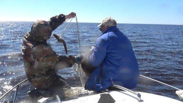 C0192.MP4_snapshot_00_27.thumb.jpg.27362