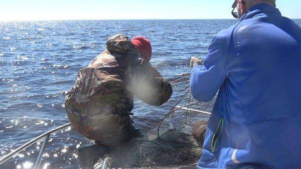 C0205.MP4_snapshot_00_27.thumb.jpg.9d50e