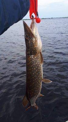 2018-06-12 05.37.43.jpg