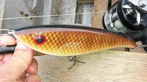 Джерк-Фест в Белоруссии 2018 003.jpg