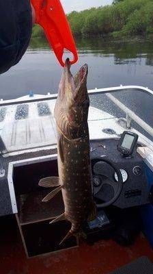 2018-06-12 08.30.20.jpg