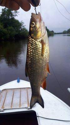 2018-06-12 07.31.11.jpg