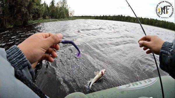 карелия 1 (2 of 1).jpg