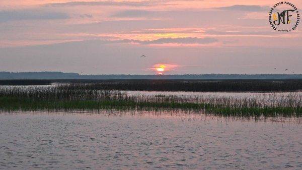 Рыбалка 22 (1 of 1).jpg