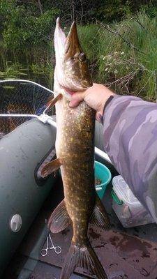 Вечерка 24 июля 2018 006.jpg