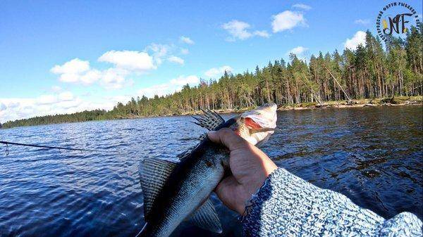 карелия 1 (10 of 1).jpg