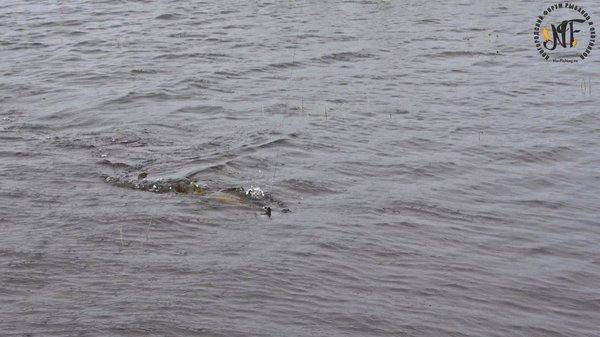 Рыбалка 22 (2 of 1).jpg