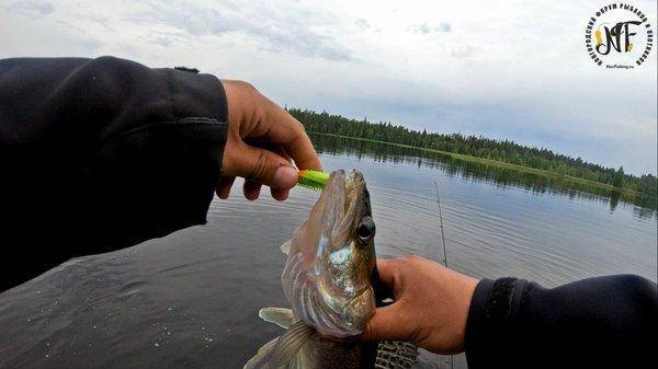 карелия 1 (19 of 1).jpg