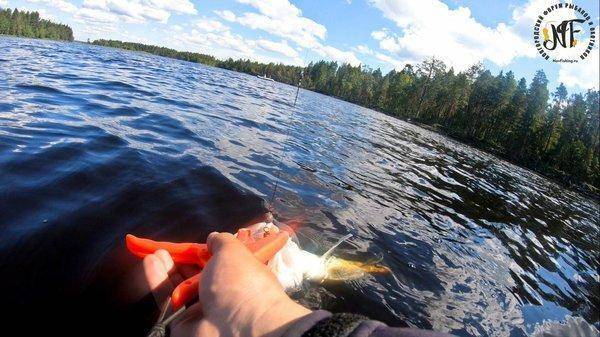 карелия 1 (16 of 1).jpg