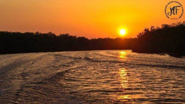 рыба свадьтба (1 of 1).jpg