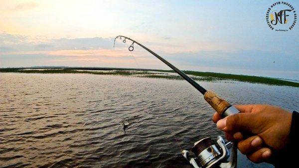 Рыбалка 22 (3 of 1).jpg