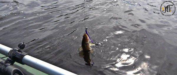 карелия 2018 (134 of 1).jpg