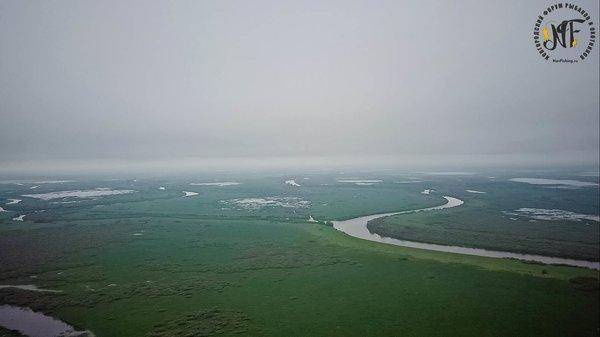 Рыб оператор  (2 of 1).jpg