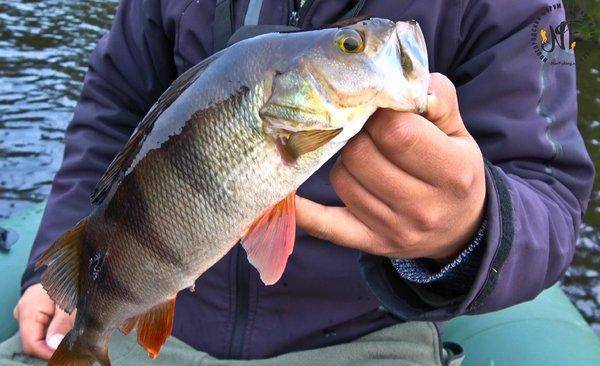 карелия 2018 (145 of 1).jpg