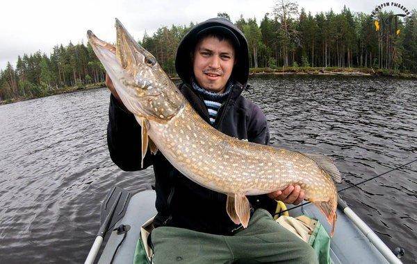 Карилия 2018 (3 of 1).jpg