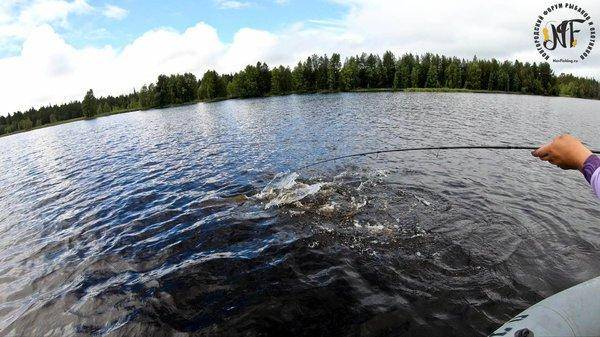 карелия 1 (8 of 1).jpg