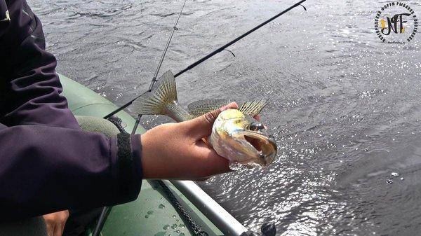 карелия 2018 (135 of 1).jpg