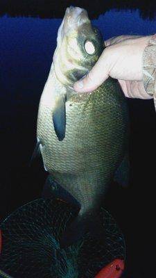 Проводы лета 23-25 августа 2018 002.jpg