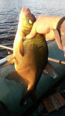 На лещах 10-12 августа 2018 002-2.jpg