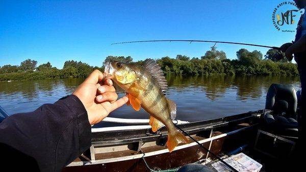 Рыбалка 2018 (204 of 1).jpg