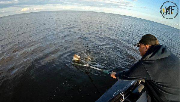 Рыбалка 2018 (201 of 1).jpg