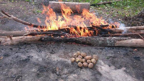 На лещах 10-12 августа 2018 018.jpg