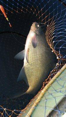 Проводы лета 23-25 августа 2018 009.jpg