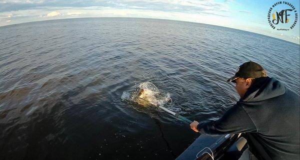 Рыбалка 2018 (200 of 1).jpg