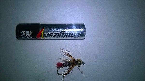 ред таг голд хед.jpg