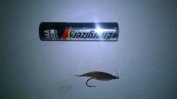 марч браун мокрая.jpg