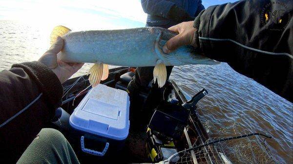 Судаколодон (2 of 1).jpg