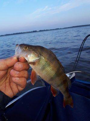 2018-09-08 07.12.07.jpg