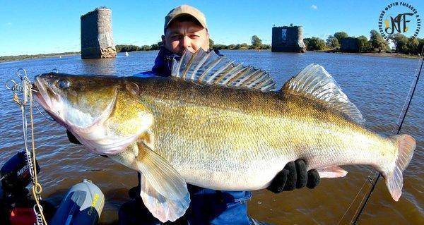 Судаколодон (13 of 1).jpg